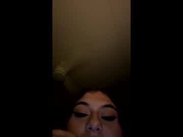 dazzlingkitten